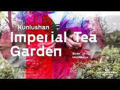 Kunlushan (Birds’ Mountains) Imperial Tea Garden