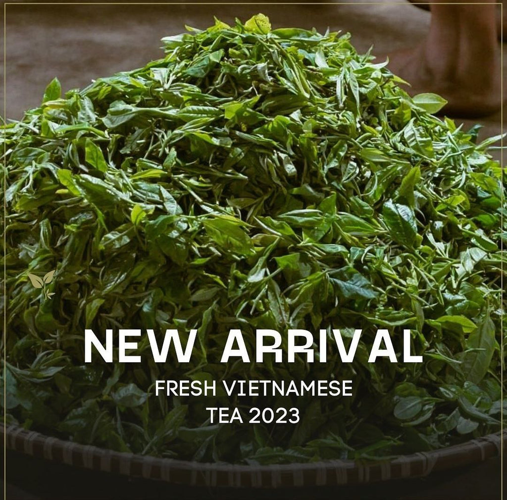 INTRODUCING THE FRESHEST TEAS STRAIGHT FROM THE NORTH OF VIETNAM!